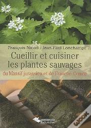 Cueillir Et Cuisiner Les Plantes Sauvages Du Massif Jurassien Et De Franche-Comté