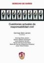 Cuestiones Actuales De Responsabilidad Civil - Preview
