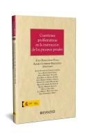 Cuestiones Problematicas En La Instruccion De Los Procesos Penales