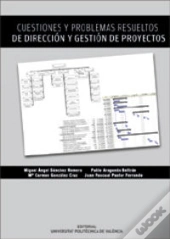Cuestiones Y Problemas Resueltos De Dirección Y Gestión De Proyectos