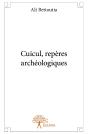 Cuicul, Repères Archéologiques - Preview