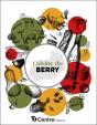 Cuisine Du Berry - Preview