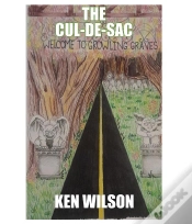 Capa do artigo Cul-De-Sac