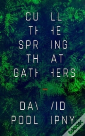 Capa do artigo Cull The Spring That Gathers