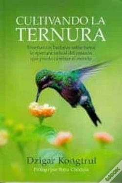 Capa do artigo Cultivando La Ternura