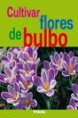 Cultivar Flores De Bulbo - Preview
