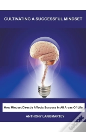 Cultivating A Successful Mindset