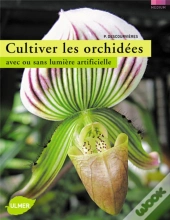 Cultiver Les Orchidées Avec Ou Sans Lumière Artificielle