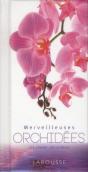 Cultiver Les Orchidées - Preview