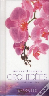 Cultiver Les Orchidées