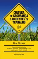 Cultura de Segurança e Acidentes de Trabalho