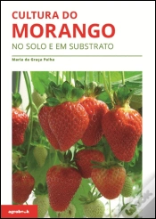 Capa do artigo Cultura do Morango