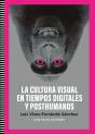 Cultura Visual En Tiempos Digitales Y Posthumanos - Preview