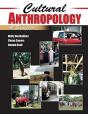Cultural Anthropology: A Sampler - Preview