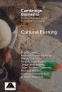 Cultural Burning - Preview