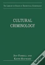 Cultural Criminology