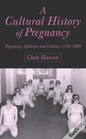 Cultural History Of Pregnancy