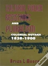 Cultural Power, Resistance And Pluralism