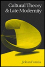 Cultural Theory And Late Modernity - Preview