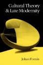 Cultural Theory And Late Modernity - Preview