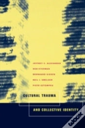 Capa do artigo Cultural Trauma And Collective Identity