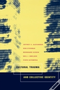 Capa do artigo Cultural Trauma And Collective Identity