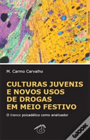 Capa do artigo Culturas Juvenis e Novos Usos de Drogas em Meio Festivo