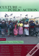 Culture And Public Action