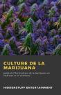 Culture De La Marijuana - Preview