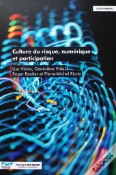 Culture Du Risque Et Participation