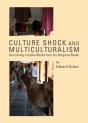 Culture Shock And Multiculturalism - Preview