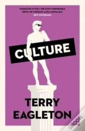 Capa do artigo Culture