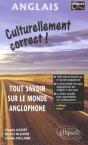 Culturellement Correct ; Culture Alphabetique Du Monde Anglo-Saxon - Preview