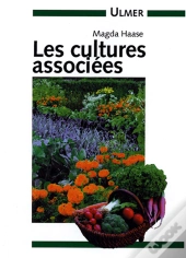 Cultures Associees