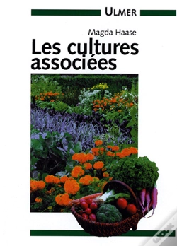 Capa do artigo Cultures Associees