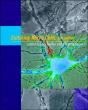 Culturing Nerve Cells - Preview