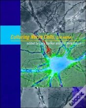 Capa do artigo Culturing Nerve Cells