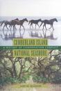 Cumberland Island National Seashore - Preview