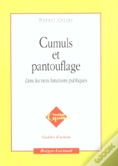 Cumul Et Pantouflage Dans Les 3 Fonctions Publiques