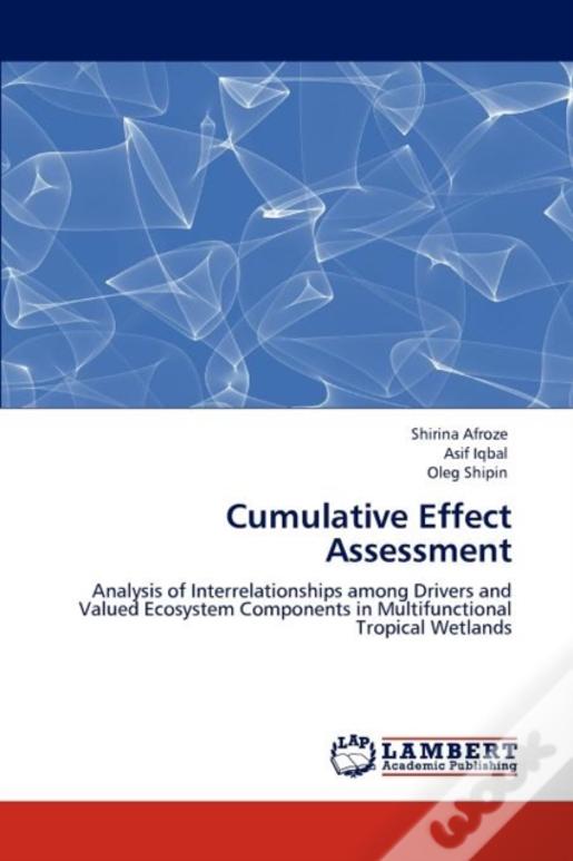 Cumulative Effect Assessment