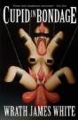 Cupid In Bondage - Preview