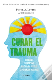 Capa do artigo Curar El Trauma