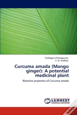 Capa do artigo Curcuma Amada (Mango Ginger)