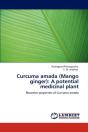 Curcuma Amada (Mango Ginger) - Preview