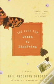 Capa do artigo Cure For Death By Lightning