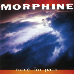 Capa do artigo Cure For Pain - CD