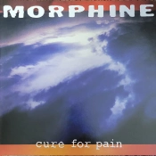 Capa do artigo Cure For Pain - Vinil