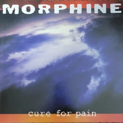 Capa do artigo Cure For Pain - Vinil