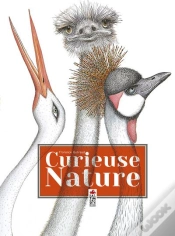 Capa do artigo Curieuse Nature