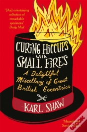 Capa do artigo Curing Hiccups With Small Fires
